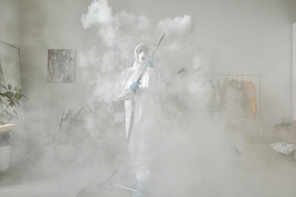 The Difference Between Mold Removal and Mold Remediation