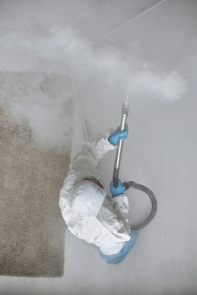 The Health Risks of Mold Exposure You Need to Know