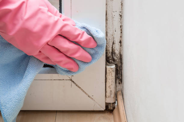 10 Signs Your Home May Have Hidden Mold