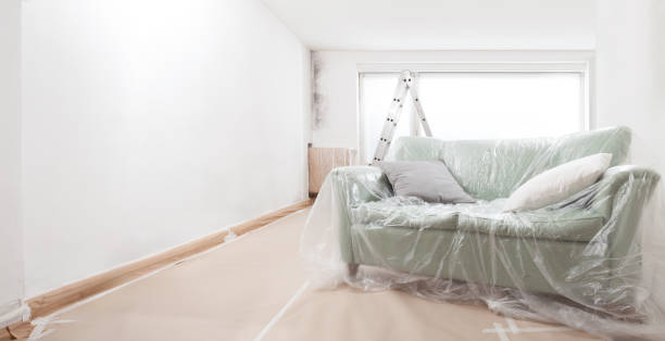 mold remediation