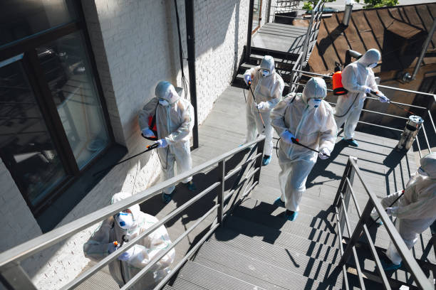 professional mold inspection